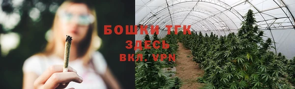 соль курить ск Ельня