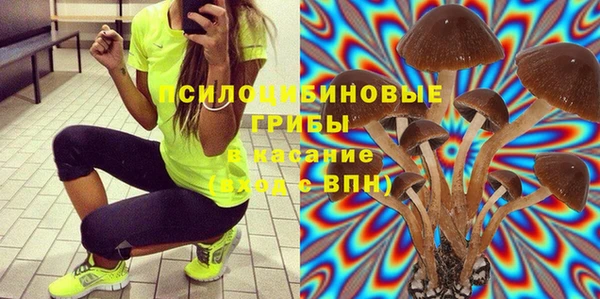 соль курить ск Ельня