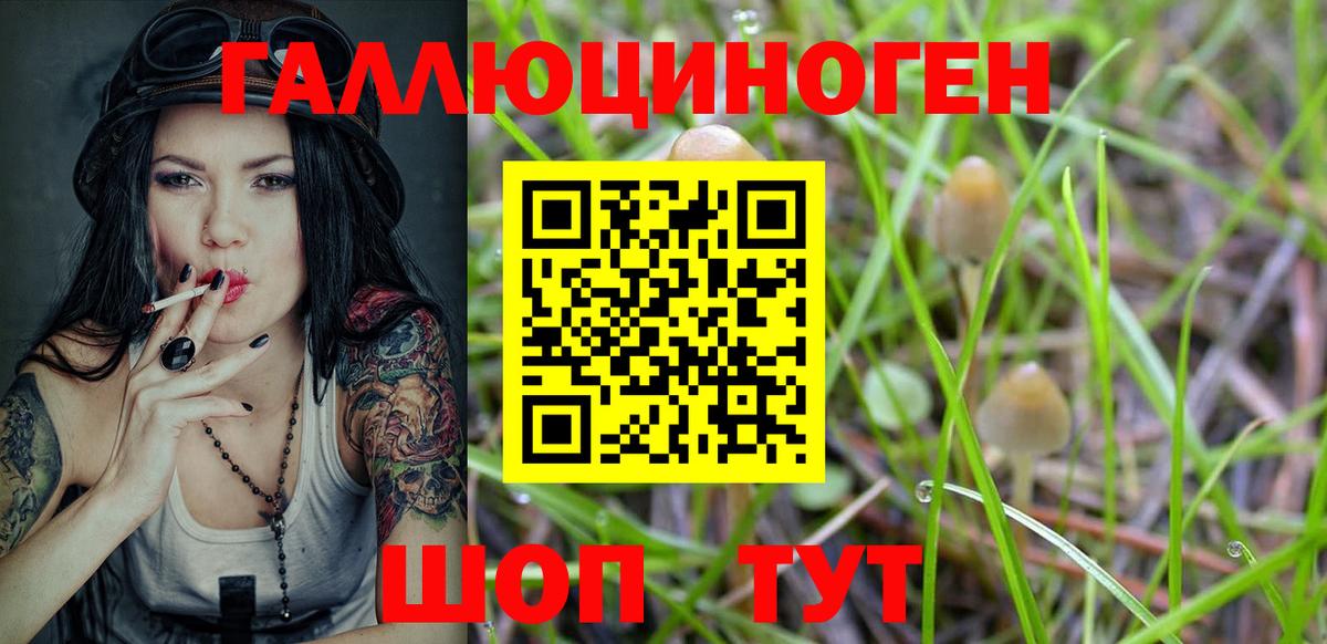 Псилоцибиновые грибы прущие грибы Горячий Ключ