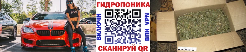 МАРИХУАНА индика  Горячий Ключ 